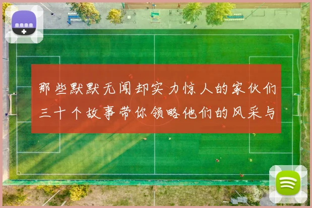 那些默默无闻却实力惊人的家伙们三十个故事带你领略他们的风采与传奇