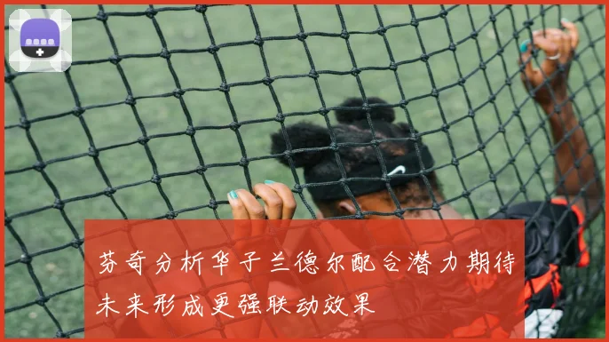 芬奇分析华子兰德尔配合潜力期待未来形成更强联动效果