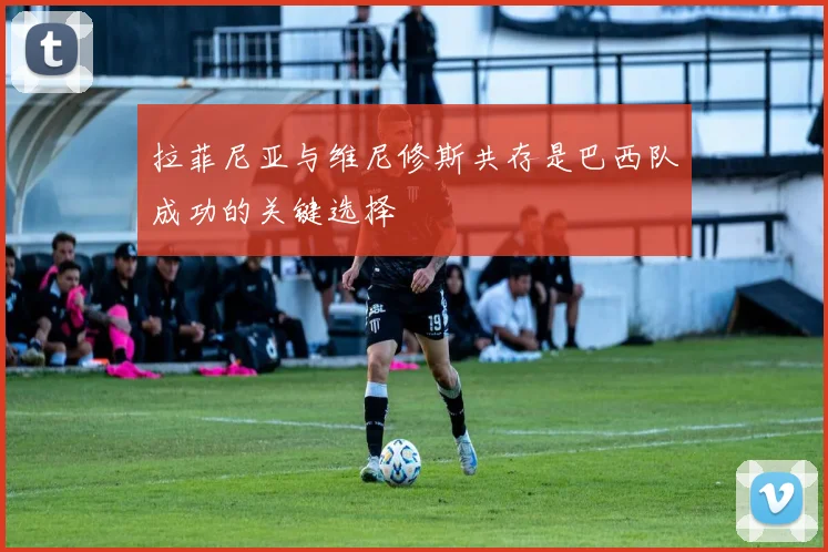 拉菲尼亚与维尼修斯共存是巴西队成功的关键选择