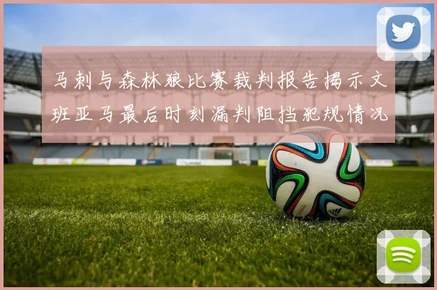 马刺与森林狼比赛裁判报告揭示文班亚马最后时刻漏判阻挡犯规情况