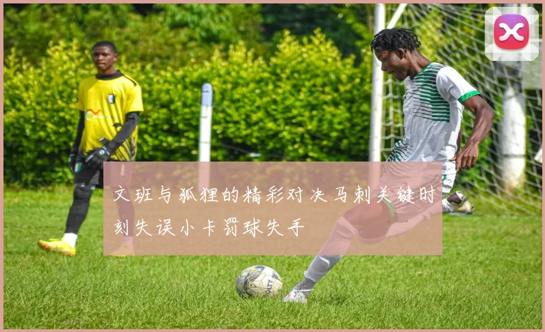 文班与狐狸的精彩对决马刺关键时刻失误小卡罚球失手