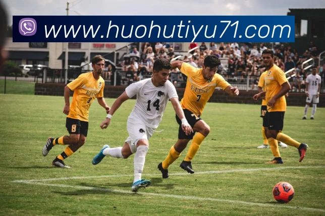 火狐体育平台生态图